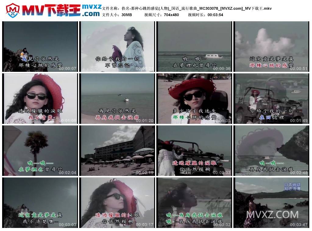 佚名-那种心跳的感觉(人物)_国语_流行歌曲_MC303078